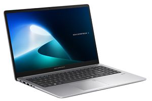 Laptop ASUS ExpertBook P1 P1503CVA, 15.6 inch 1920 x 1080, Intel 240H (10 C / 16 T, 2.5 GHz - 5.2 GHz, 24 MB cache, N/A), 32 GB DDR5, 1 TB SSD, Intel Intel Graphics, Free DOS, Tastatura US, Misty Grey