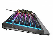 Genesis Keyboard Rhod 300RGB US
