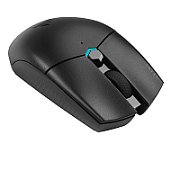Mouse Alienware Gaming Mouse AW320M, cu fir, negru