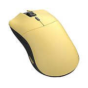 Model O Pro Wireless - Golden Panda - Forge