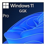 SW OEM GGK WIN 11 PRO 64B/ENG 1PK 4YR-00316 MS