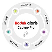 CAPTURE PRO SW GRUPPE D 5 J./.