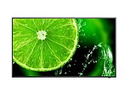 Display LCD 49  NEC MultiSync E498, UHD, IPS with Direct LED backlights, 350 cd/m²