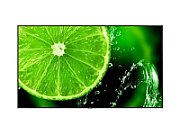Display 86  NEC MultiSync® E868, UHD, IPS with Direct LED backlights, 400 cd/m², 18/7, media player