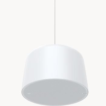 AXIS C1510 NETWORK PENDANT/SPEAKER AXIS C1510 NETWORK PENDA