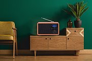 Adler AD 1184 radio Portable Digital Black  Wood