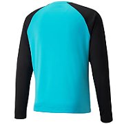 Puma teamPACER GK LS men's goalkeeper sweatshirt blue-black 704933 40 M