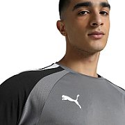 Puma teamPACER GK LS men's goalkeeper sweatshirt grey 704933 43 L