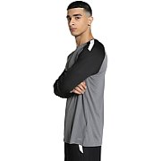 Puma teamPACER GK LS men's goalkeeper sweatshirt grey 704933 43 L