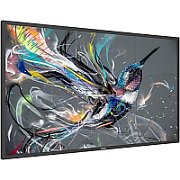 Monitor 42.5 inch Philips 43BDL3511Q/00 3840 x 2160