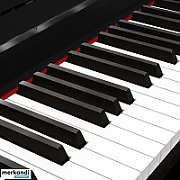 Digital Piano Kruger&Matz KMDP-155  black color