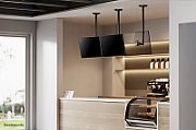 Neomounts FPMA-C050BLACK Monitor/TV mount ceiling 10-30  - h 60-85 cm