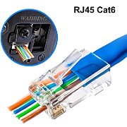 CAT6 UTP-PLUG-PT-BU