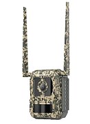 Celluar Trail Camera with LiveStreaming+SIM Card