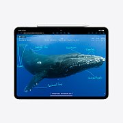 Apple 11-inch iPad Pro (M4) Cellular 2TB with Standard glass - Silver