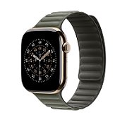 Apple Watch 46mm Magnetic Link: Sage Gray Magnetic Link - M/L