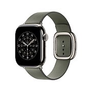 Apple Watch 42mm Modern Buckle: Sage Gray Modern Buckle - Large