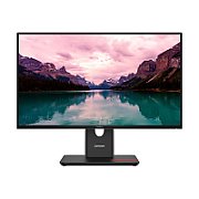LENOVO ThinkVision T24-40 23.8inch IPS FHD 16:9 120Hz 250cd/m2 4ms/6ms HDMI DP VGA