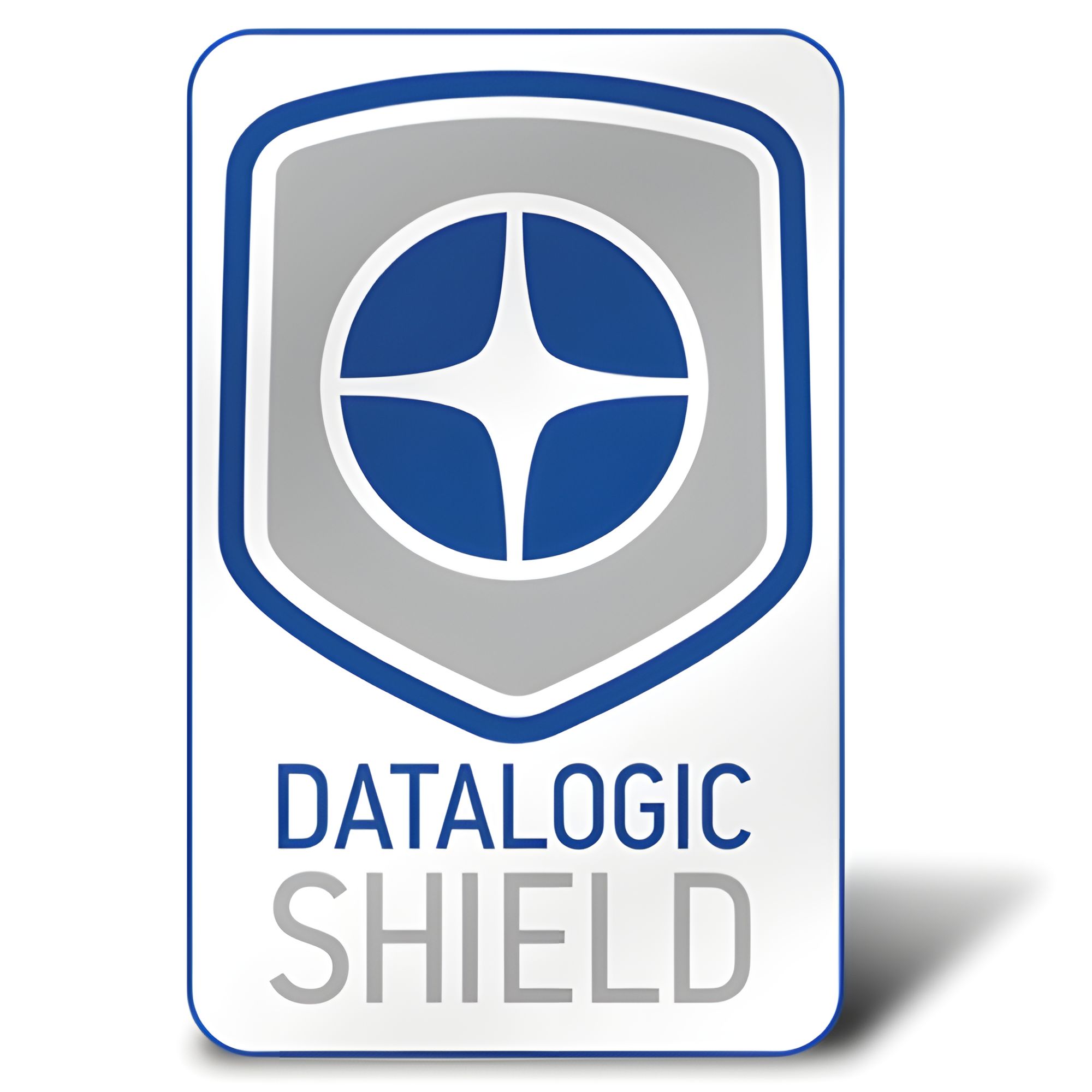 Datalogic Service, Renewal