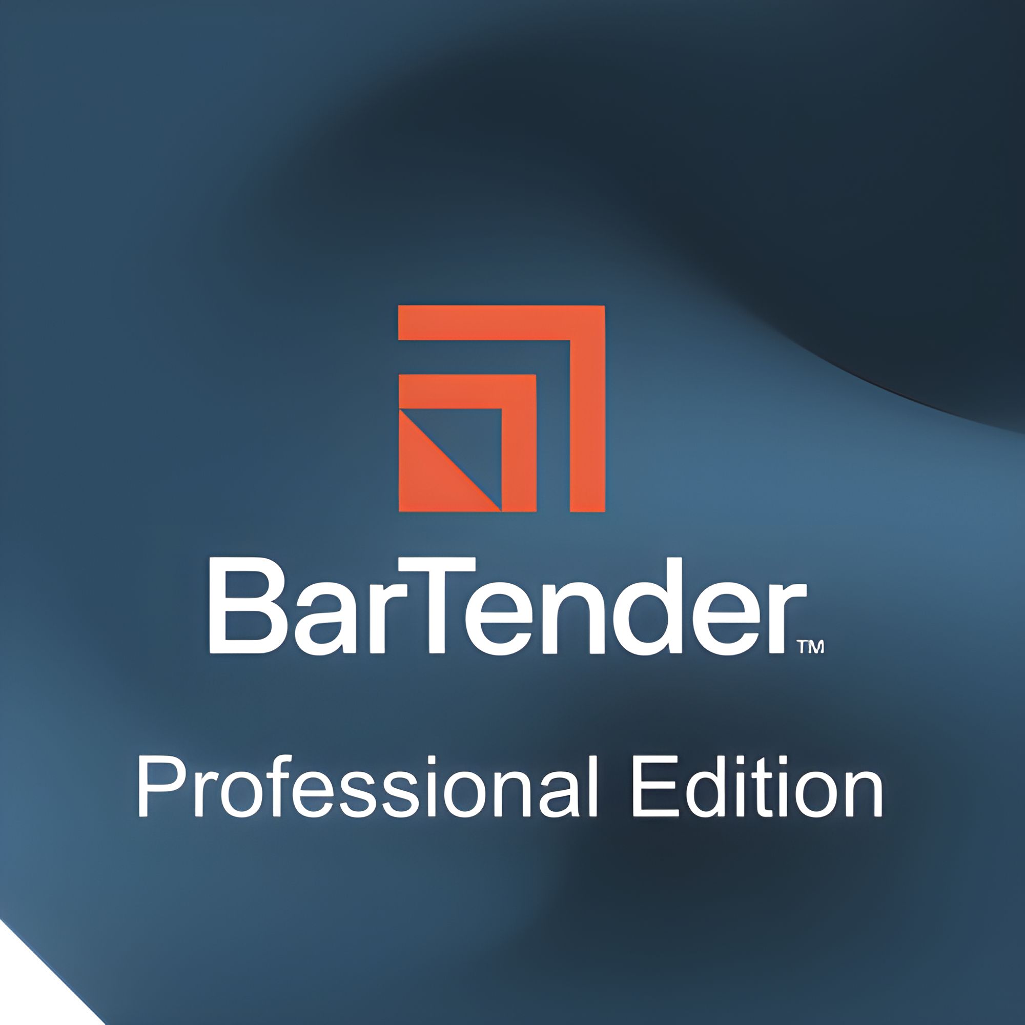 Seagull BarTender Professional, workstation license, unlimited printers