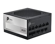 PRO A1000PL PCIE5, 1000W, ATX, PCIe 5.1, 80 PLUS Platinum, Full Modulara, Negru
